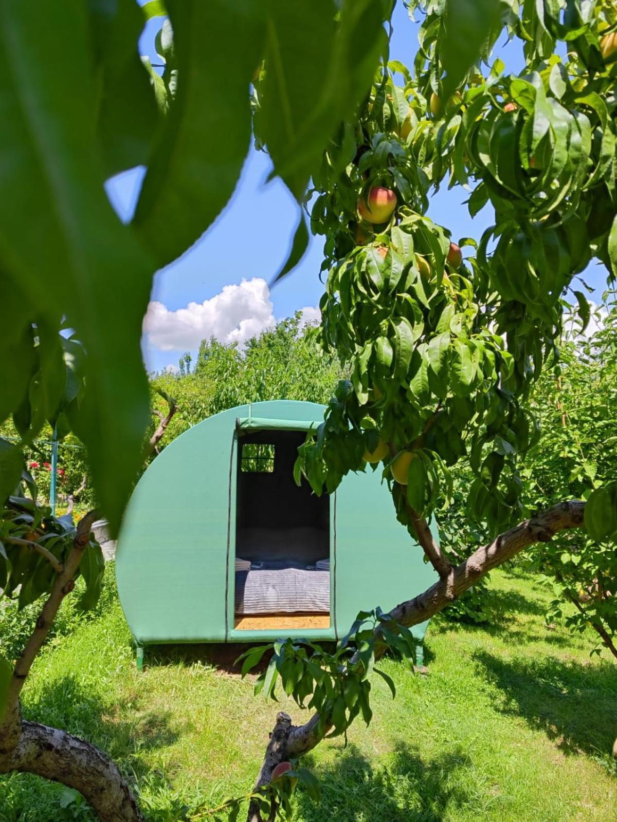 Nataly Camping Yeghegnadzor